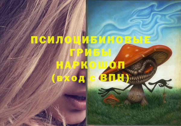 PSILOCYBIN Волоколамск