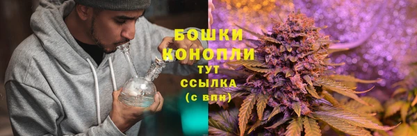 PSILOCYBIN Волоколамск